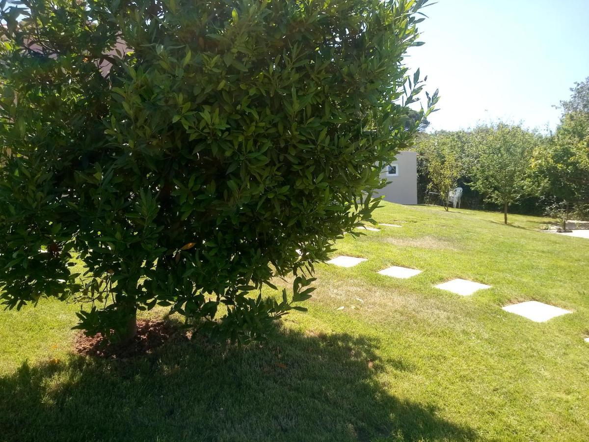 Casal Do Pinheiro Villa Obidos Exterior photo